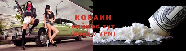 шишки Балахна