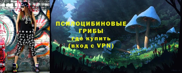 молекула духа Дегтярск