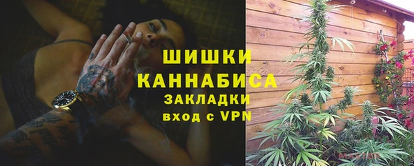 шишки Балахна