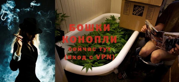 шишки Балахна