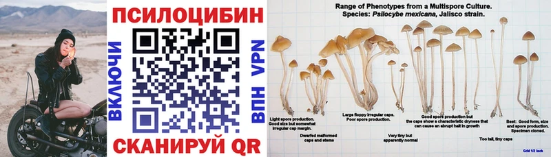 где найти   гидра зеркало  Псилоцибиновые грибы GOLDEN TEACHER  Лыткарино 